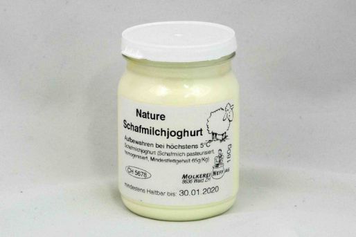 1 Schafmilchjoghurt Nature