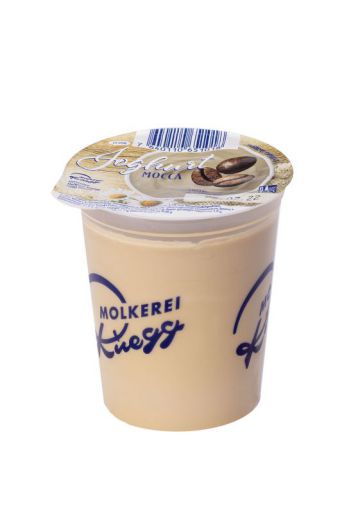 1 Joghurt Mocca