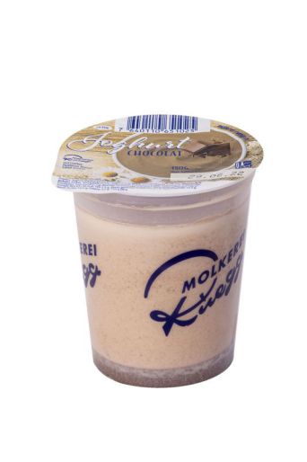 1 Joghurt Schoggi