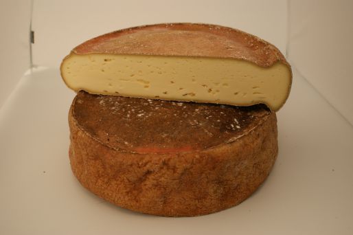 Bergmatter