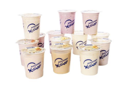 Joghurt assortiert Fruchtmix