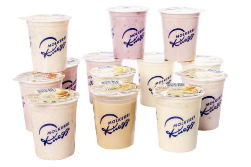 Joghurt assortiert Schoggi-Frucht